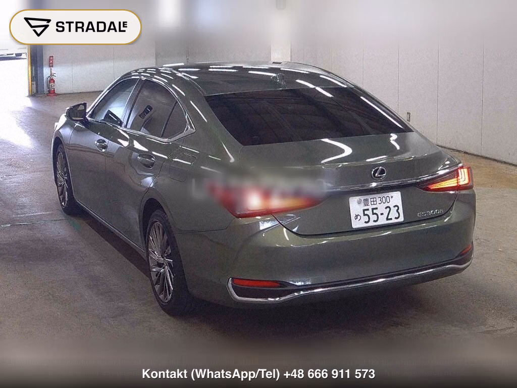 LEXUS ES ES300H GRACEFUL ESCORT, miniaturka 3
