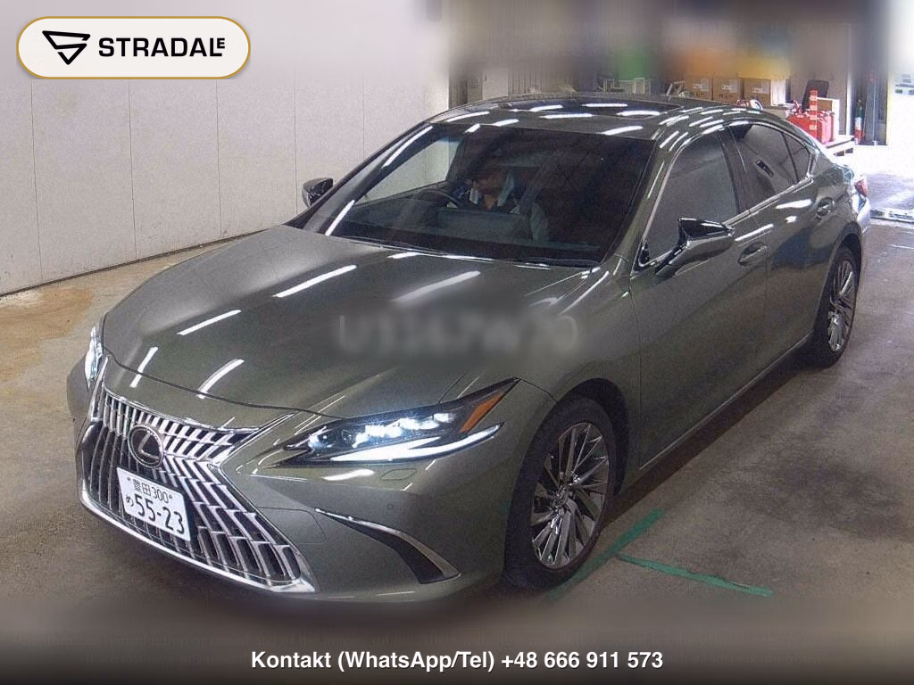 LEXUS ES ES300H GRACEFUL ESCORT, miniaturka 5