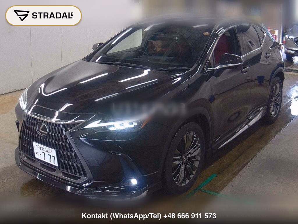 LEXUS NX NX250 VERSION L, miniaturka 5