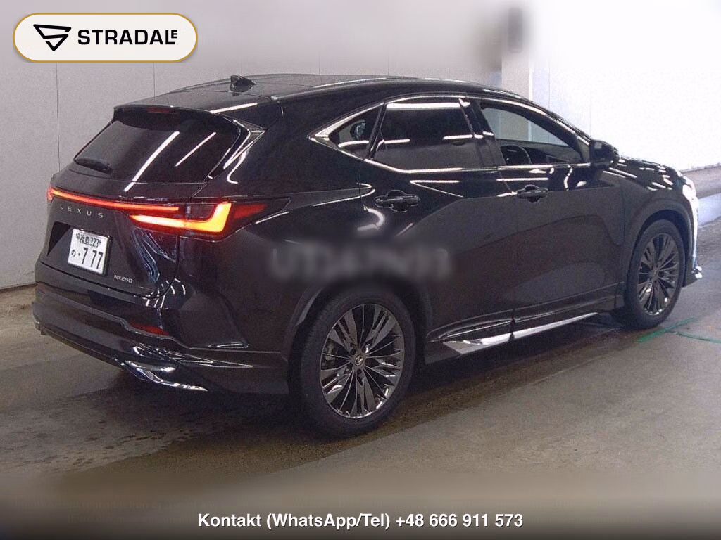LEXUS NX NX250 VERSION L, miniaturka 6
