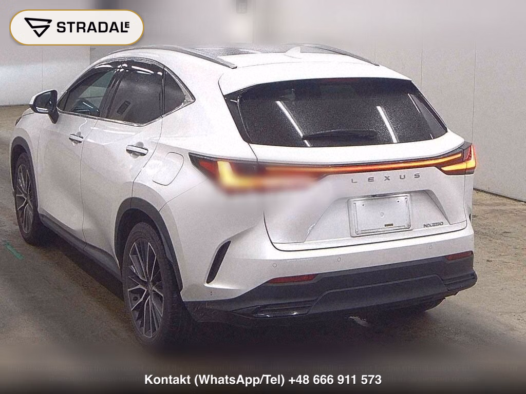 LEXUS NX NX250 VERSION L, miniaturka 3