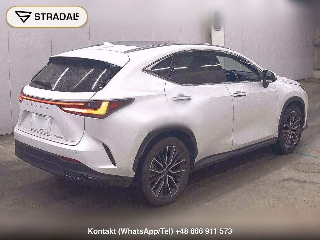 LEXUS NX NX250 VERSION L, miniaturka 6