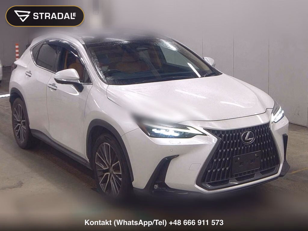 LEXUS NX NX250 VERSION L 2023, aukcja z Japonii, zdjęcie 1