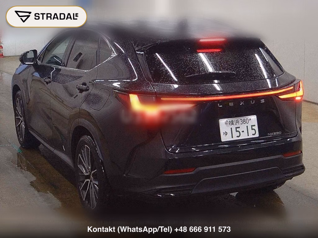 LEXUS NX NX250 VERSION L, miniaturka 3