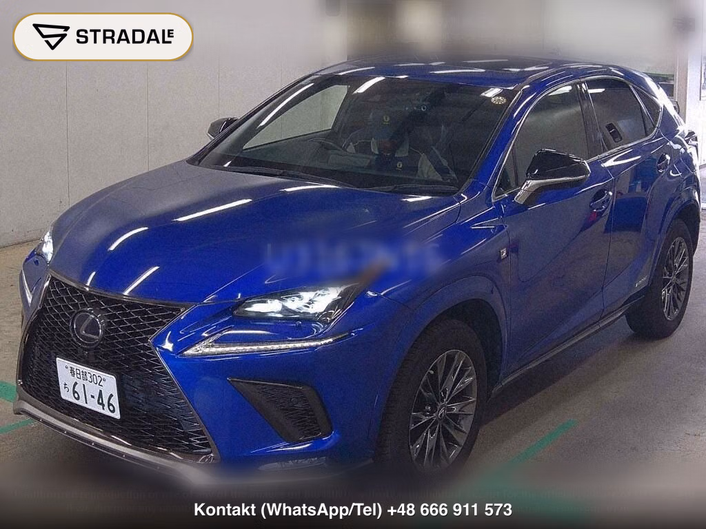 LEXUS NX NX300H SPECIAL EDITION COOL AND BRIGHT, miniaturka 5