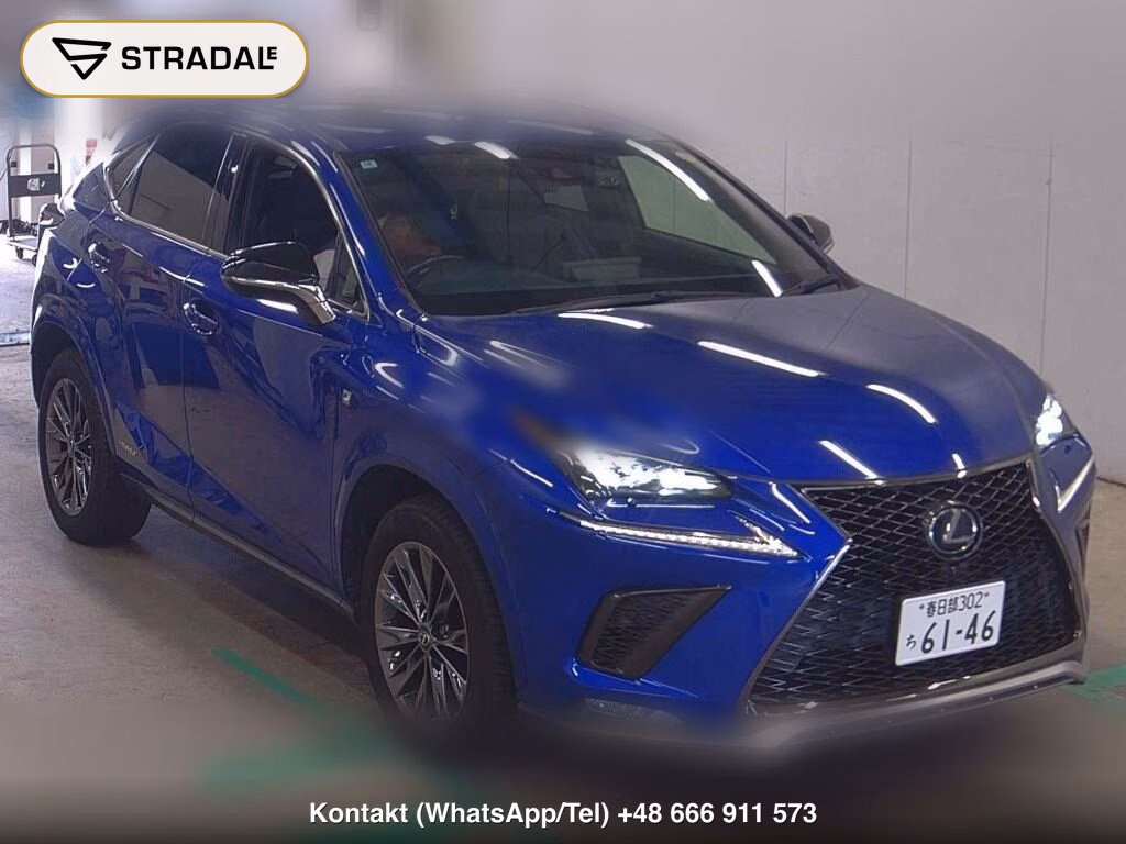 LEXUS NX NX300H SPECIAL EDITION COOL AND BRIGHT 2020, aukcja z Japonii, zdjęcie 1