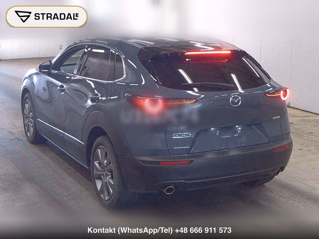 MAZDA CX-30 20S PROACTIVE TOURING SELECTION, miniaturka 3