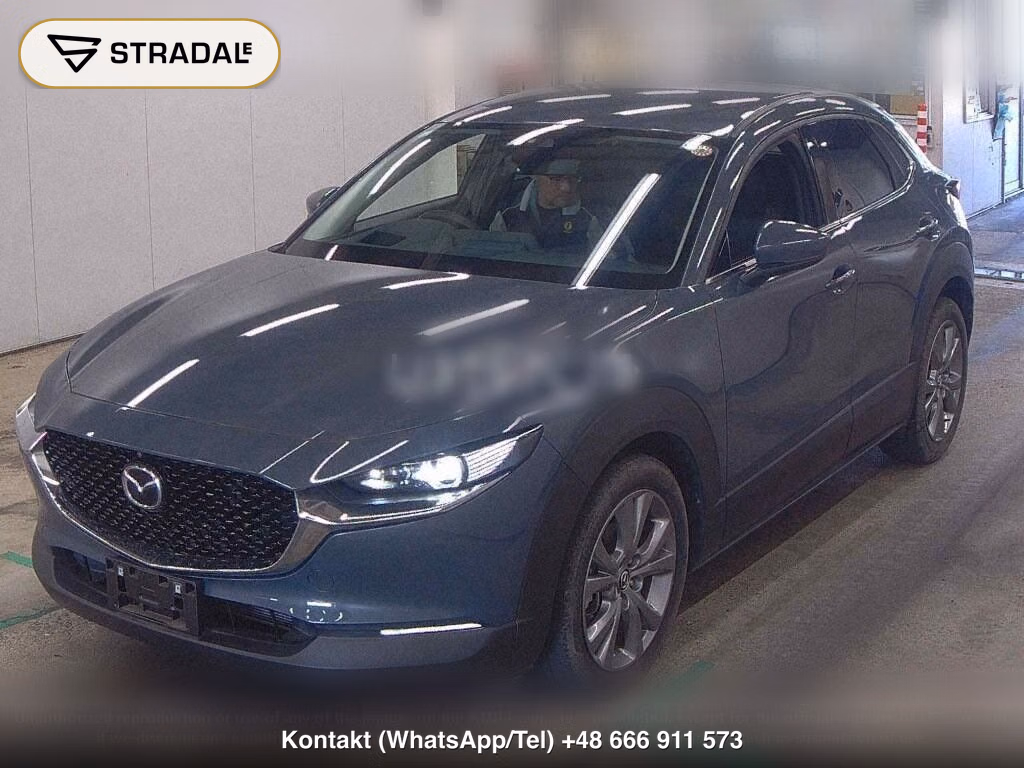 MAZDA CX-30 20S PROACTIVE TOURING SELECTION, miniaturka 5