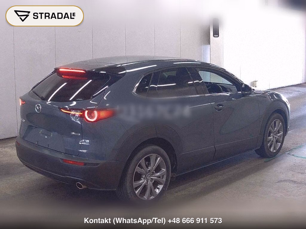 MAZDA CX-30 20S PROACTIVE TOURING SELECTION, miniaturka 6