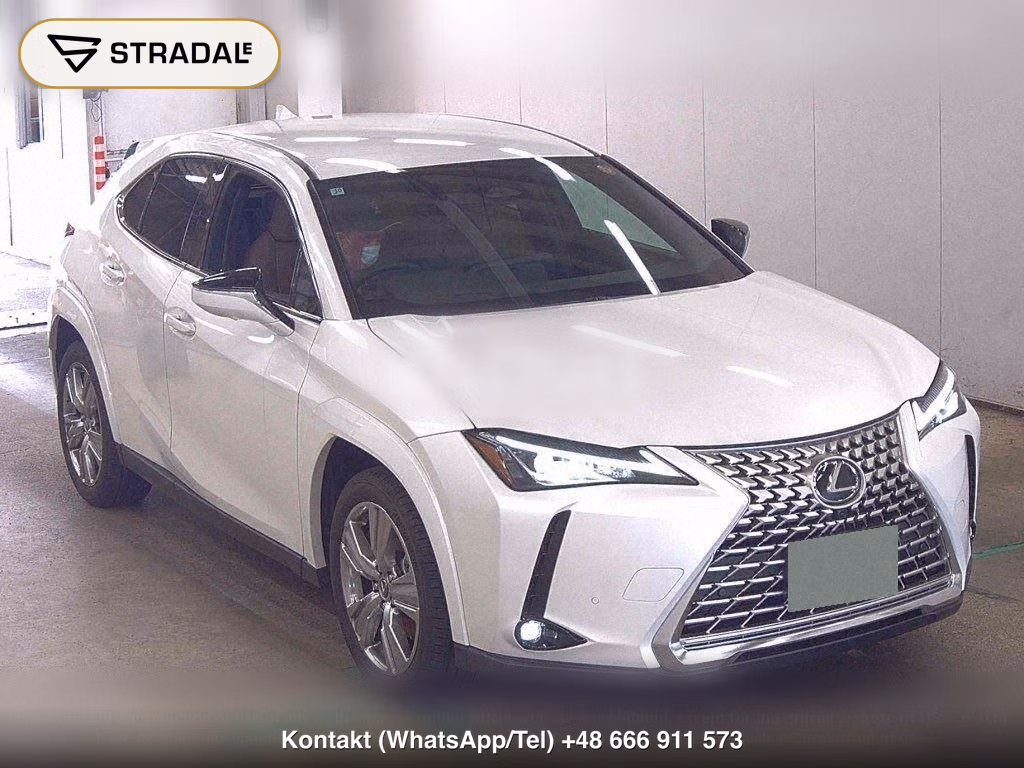 LEXUS UX 4WD UX300H GRACEFUL EXPLORER, miniaturka 2