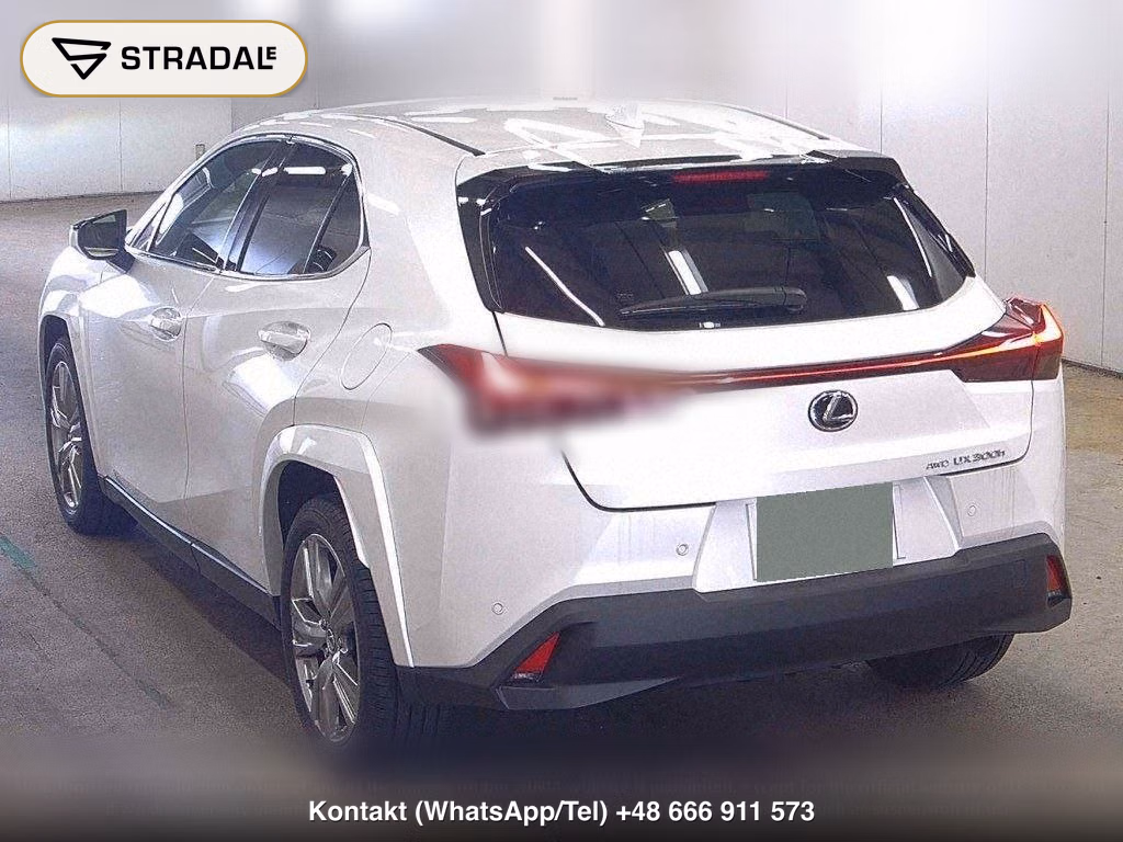 LEXUS UX 4WD UX300H GRACEFUL EXPLORER, miniaturka 3