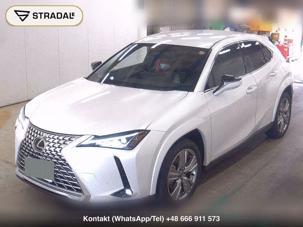 LEXUS UX 4WD UX300H GRACEFUL EXPLORER, miniaturka 5