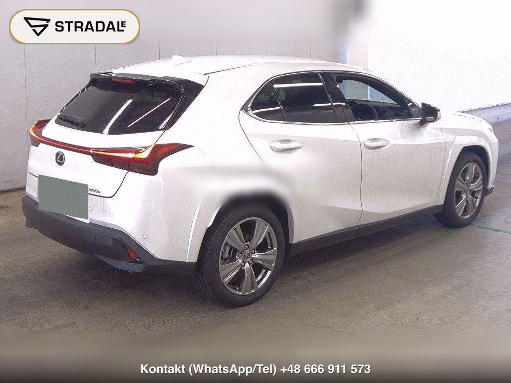 LEXUS UX 4WD UX300H GRACEFUL EXPLORER, miniaturka 6