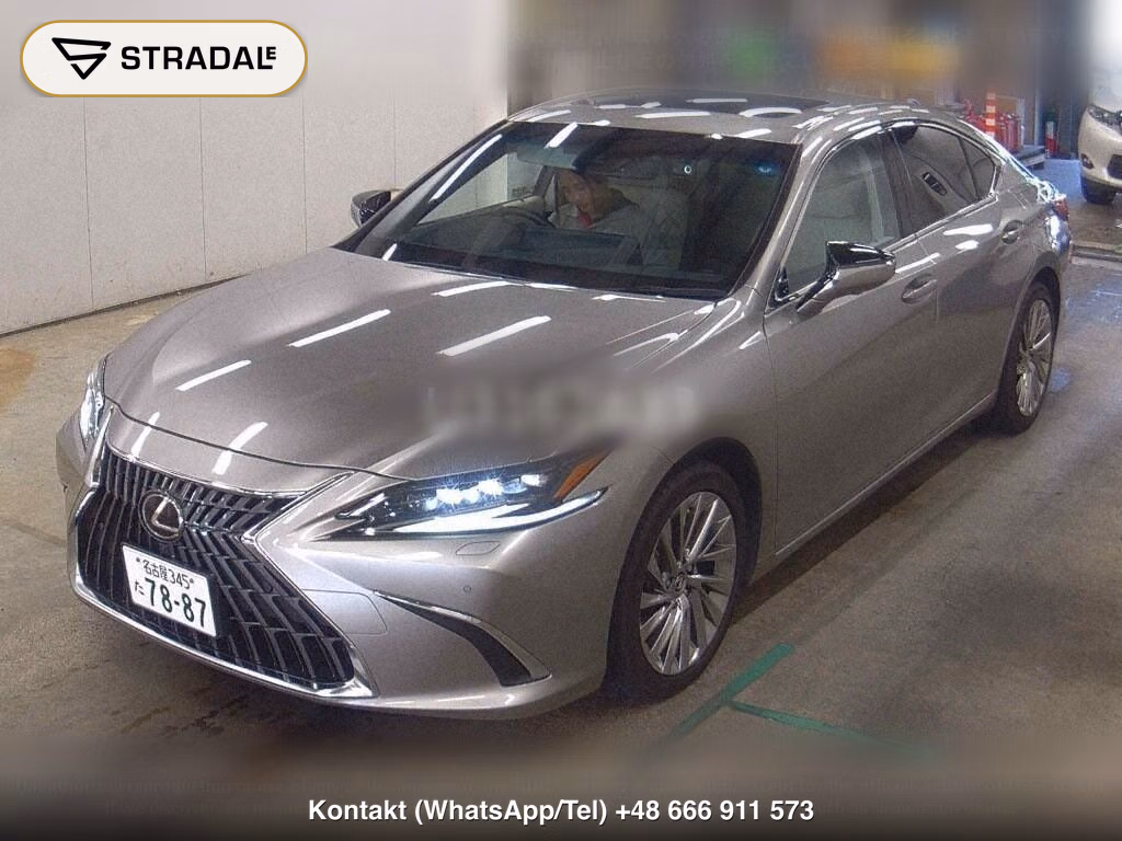 LEXUS ES ES300H VERSION L, miniaturka 5