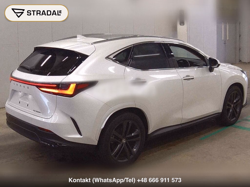 LEXUS NX NX350H VERSION L, miniaturka 6