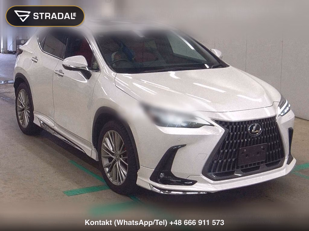 LEXUS NX NX250 VERSION L, miniaturka 2
