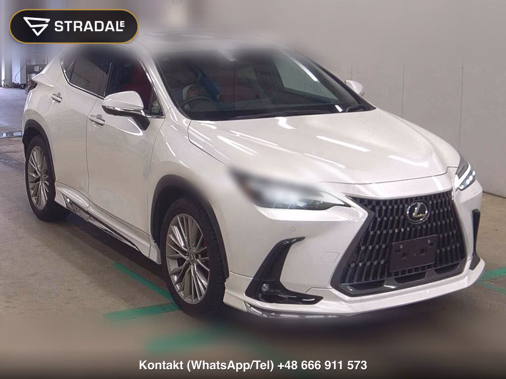 LEXUS NX NX250 VERSION L 2023, aukcja z Japonii, zdjęcie 1