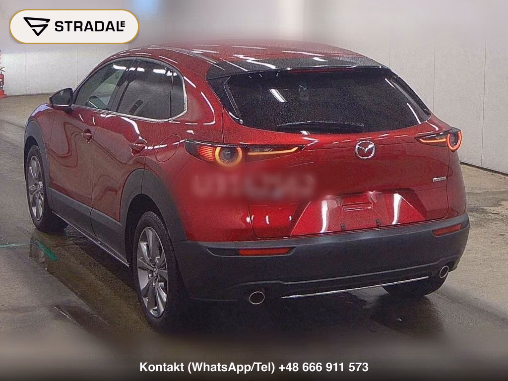 MAZDA CX-30 20S PROACTIVE TOURING SELECTION, miniaturka 3
