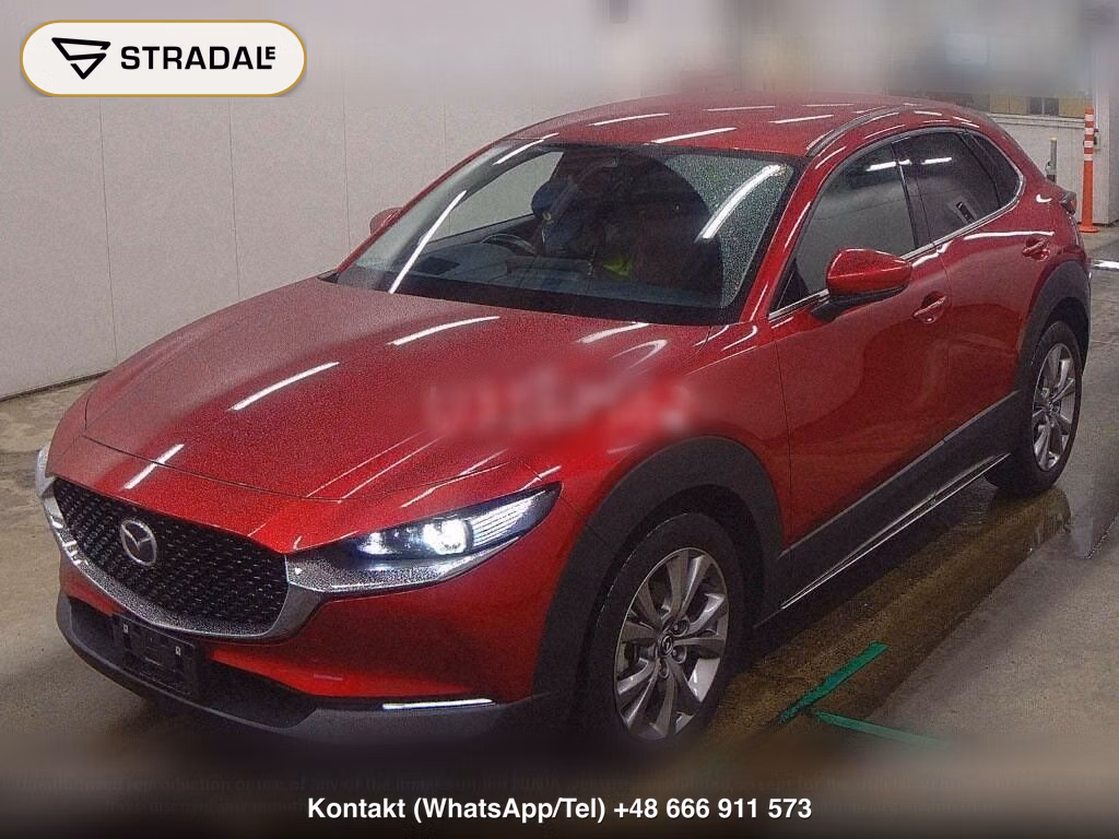 MAZDA CX-30 20S PROACTIVE TOURING SELECTION, miniaturka 5