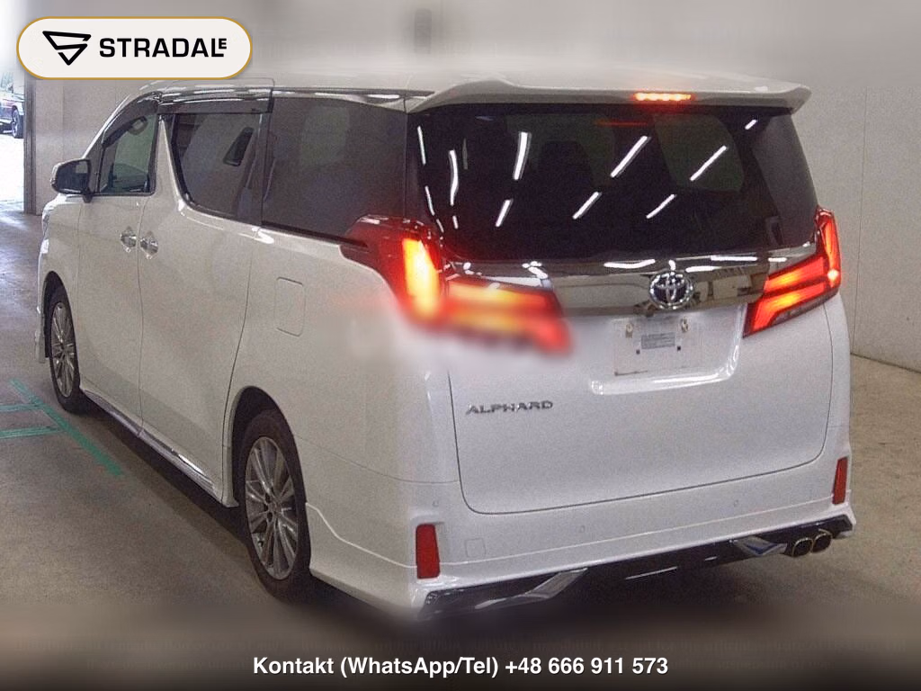 TOYOTA ALPHARD S TYPE GOLDⅢ, miniaturka 3