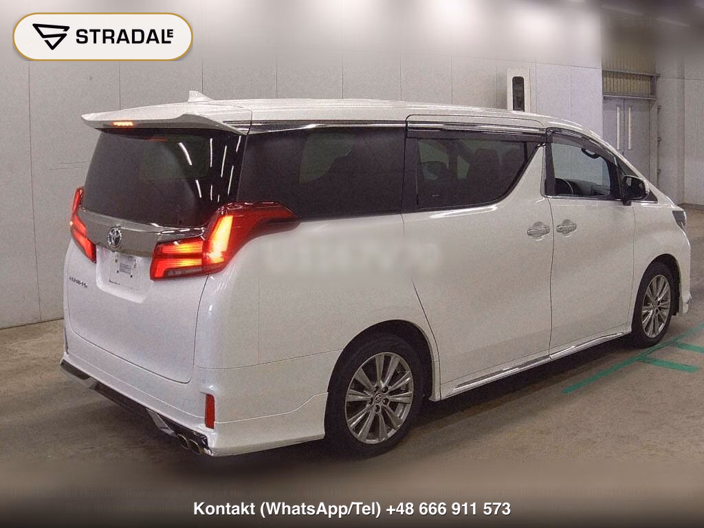 TOYOTA ALPHARD S TYPE GOLDⅢ, miniaturka 6