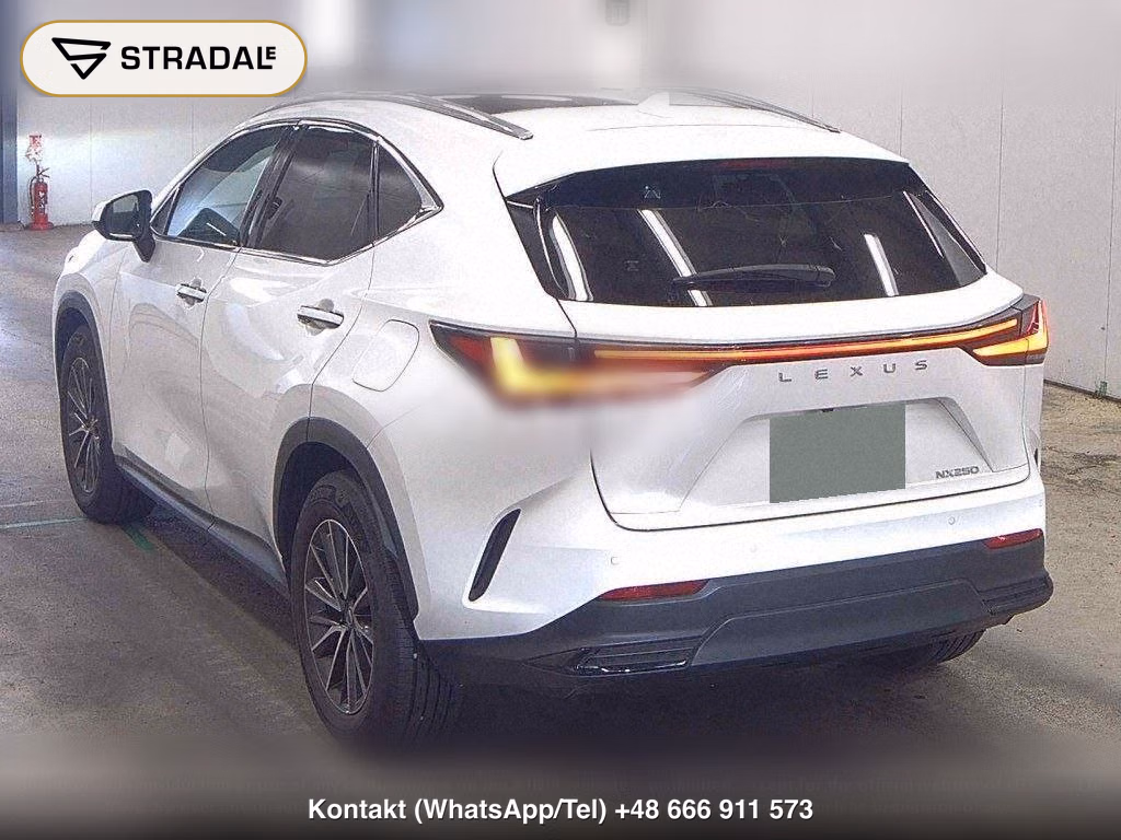 LEXUS NX NX250, miniaturka 3