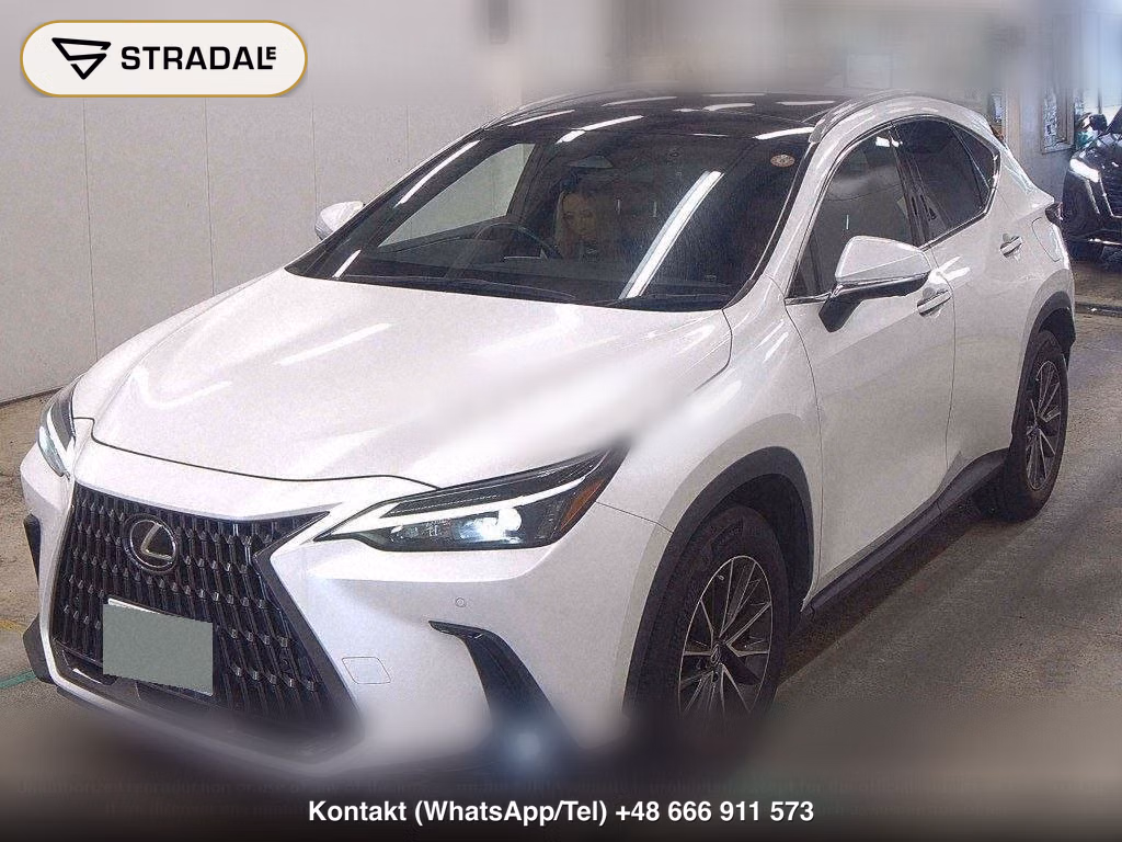 LEXUS NX NX250, miniaturka 5