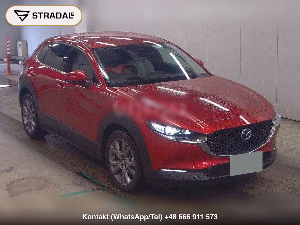 MAZDA CX-30 20S L PACKAGE, miniaturka 2