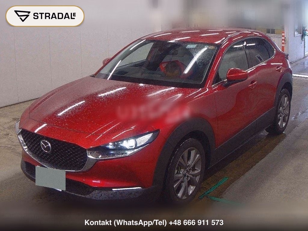 MAZDA CX-30 20S L PACKAGE, miniaturka 5