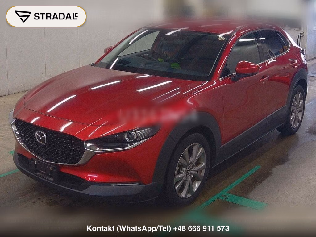 MAZDA CX-30 20S PROACTIVE TOURING SELECTION, miniaturka 5