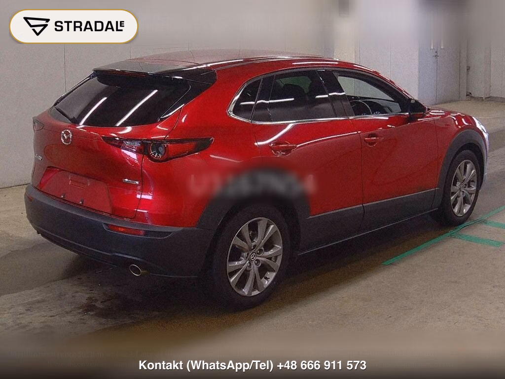 MAZDA CX-30 20S PROACTIVE TOURING SELECTION, miniaturka 6
