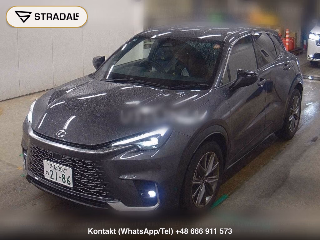 LEXUS LBX RELAX, miniaturka 5