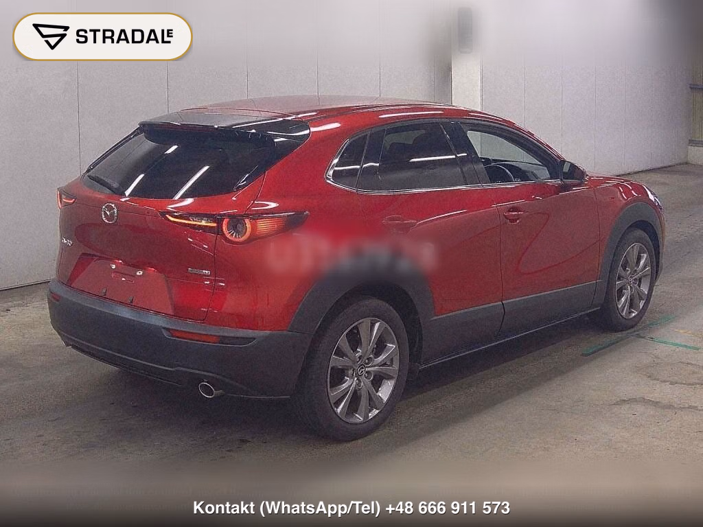 MAZDA CX-30 XD PROACTIVE TOURING SELECTION, miniaturka 6