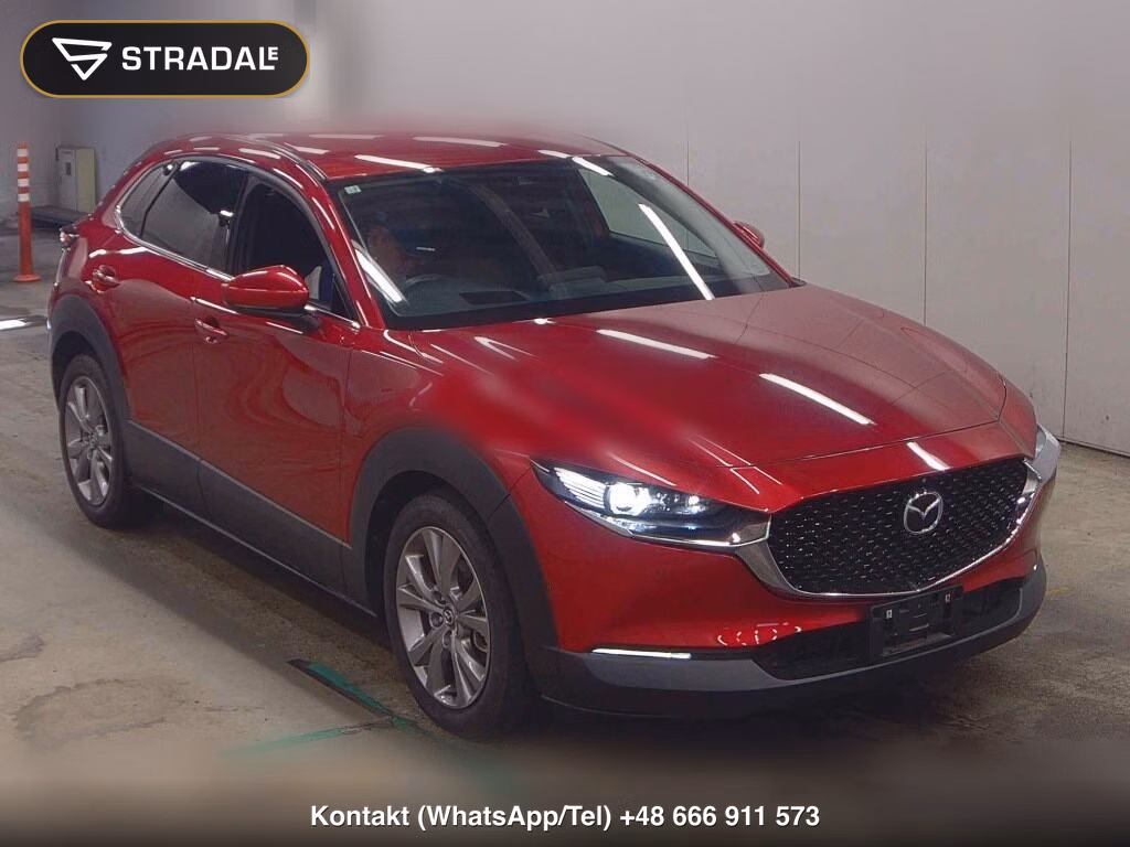 MAZDA CX-30 XD PROACTIVE TOURING SELECTION 2020, aukcja z Japonii, zdjęcie 1