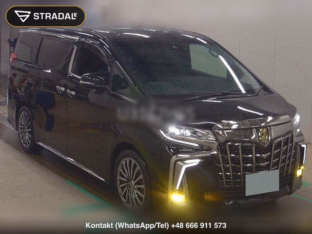 TOYOTA ALPHARD S TYPE GOLDⅢ, miniaturka 2