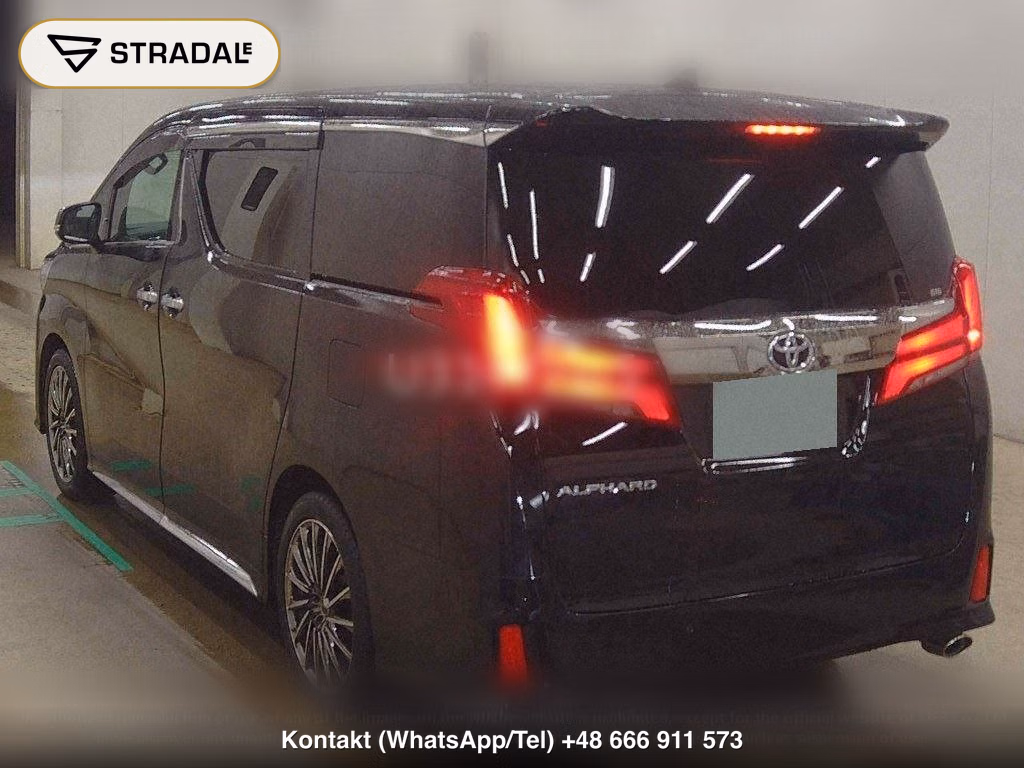 TOYOTA ALPHARD S TYPE GOLDⅢ, miniaturka 3