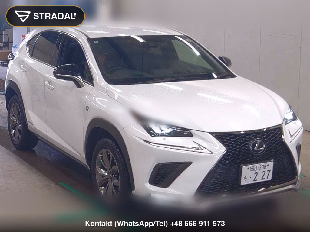 LEXUS NX NX300H F SPORT 2020, aukcja z Japonii, zdjęcie 1