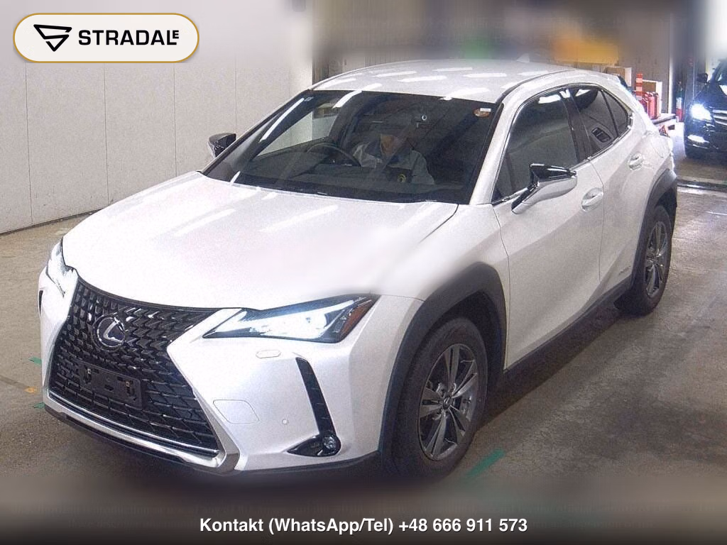 LEXUS UX 4WD UX250H VERSION C, miniaturka 5