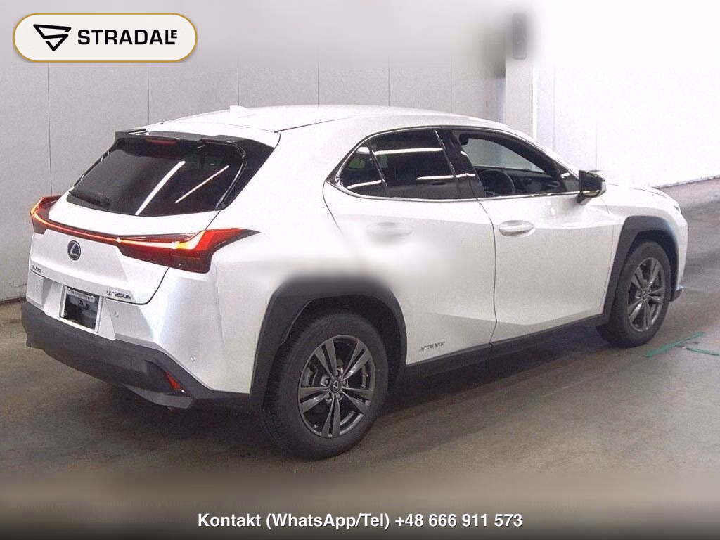 LEXUS UX 4WD UX250H VERSION C, miniaturka 6