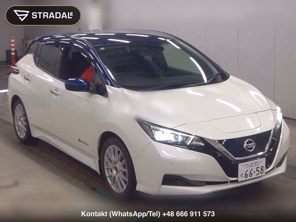 NISSAN LEAF X 10 THOUSAND UNITS MEMORIAL CAR, miniaturka 2