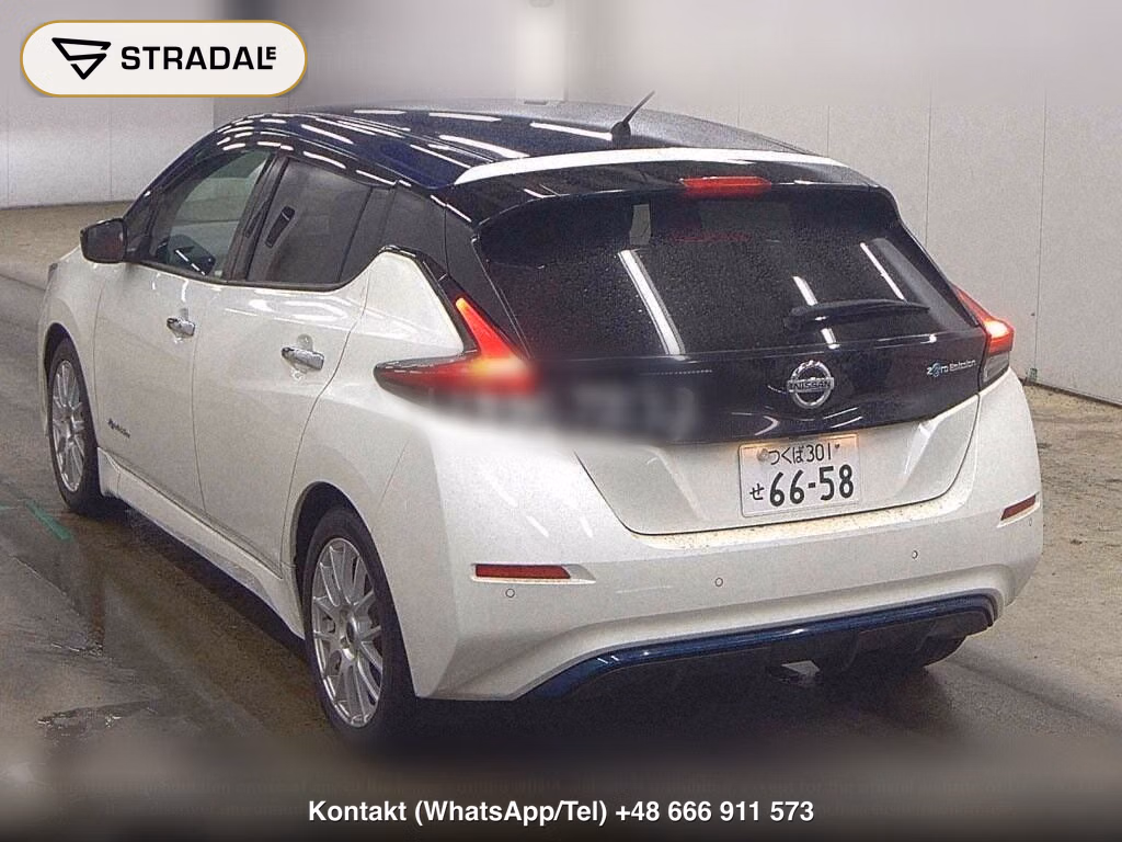 NISSAN LEAF X 10 THOUSAND UNITS MEMORIAL CAR, miniaturka 3