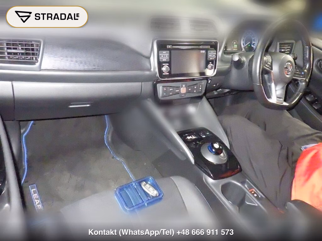 NISSAN LEAF X 10 THOUSAND UNITS MEMORIAL CAR, miniaturka 4