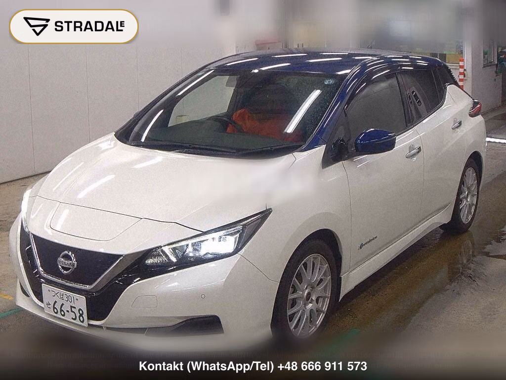 NISSAN LEAF X 10 THOUSAND UNITS MEMORIAL CAR, miniaturka 5