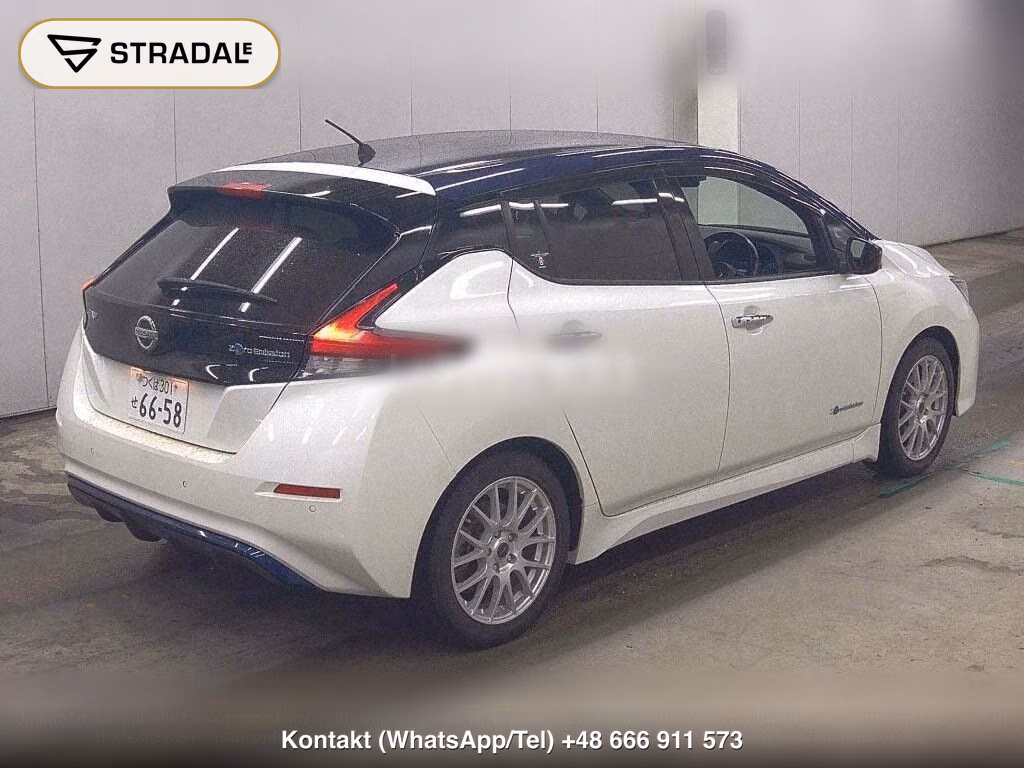 NISSAN LEAF X 10 THOUSAND UNITS MEMORIAL CAR, miniaturka 6