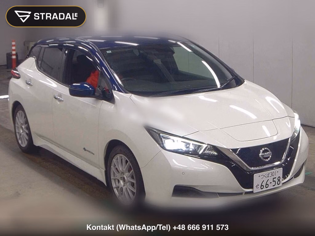 NISSAN LEAF X 10 THOUSAND UNITS MEMORIAL CAR 2019, aukcja z Japonii, zdjęcie 1