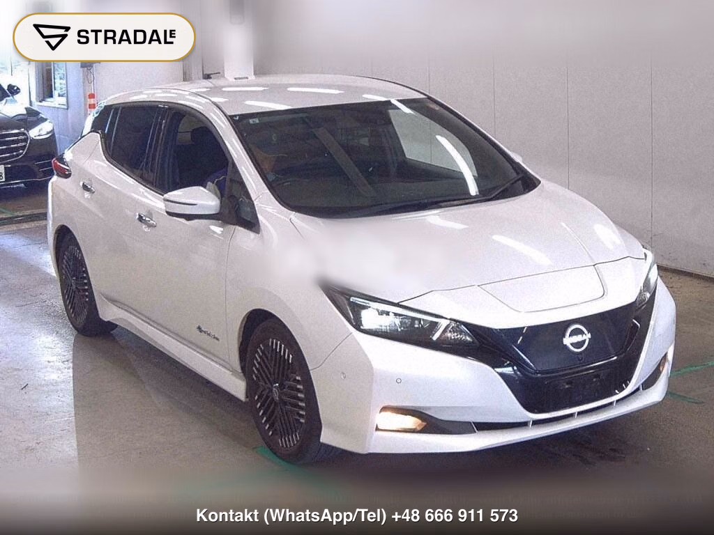 NISSAN LEAF G, miniaturka 2