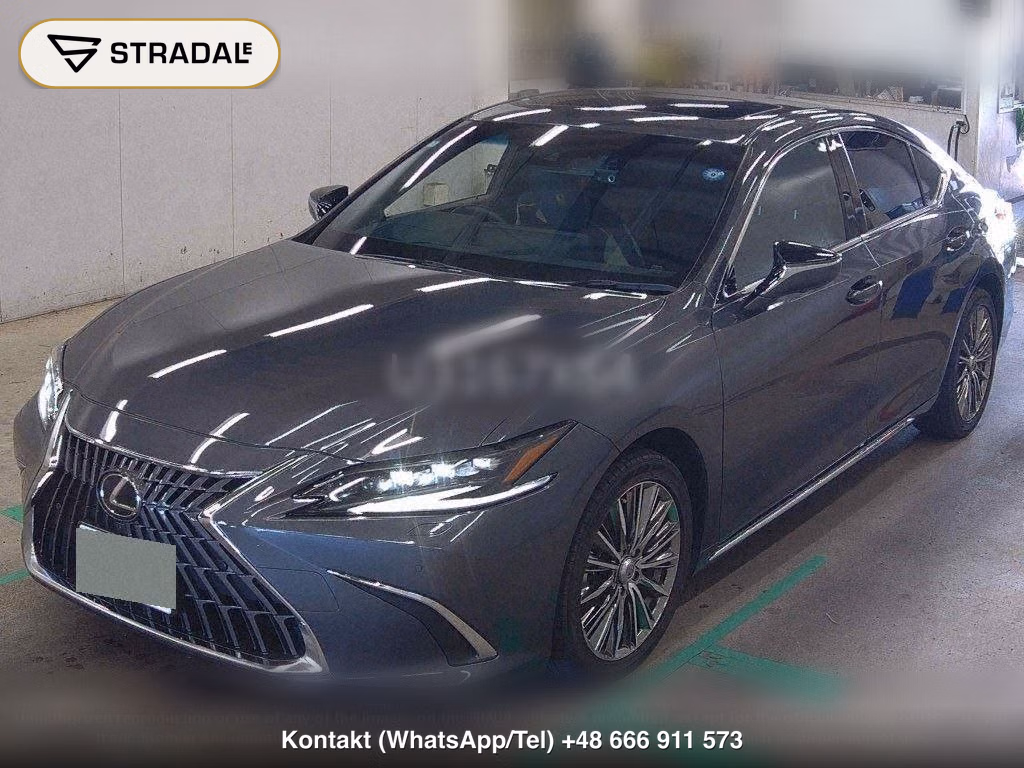 LEXUS ES ES300H VERSION L, miniaturka 5