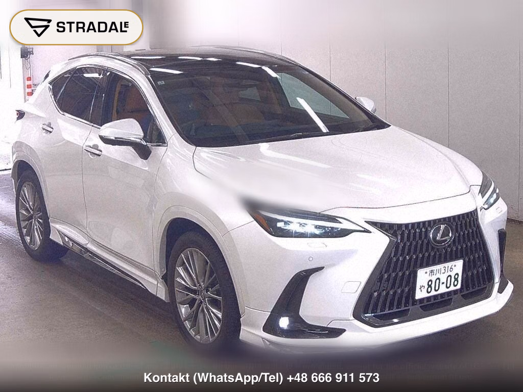 LEXUS NX NX250 VERSION L, miniaturka 2