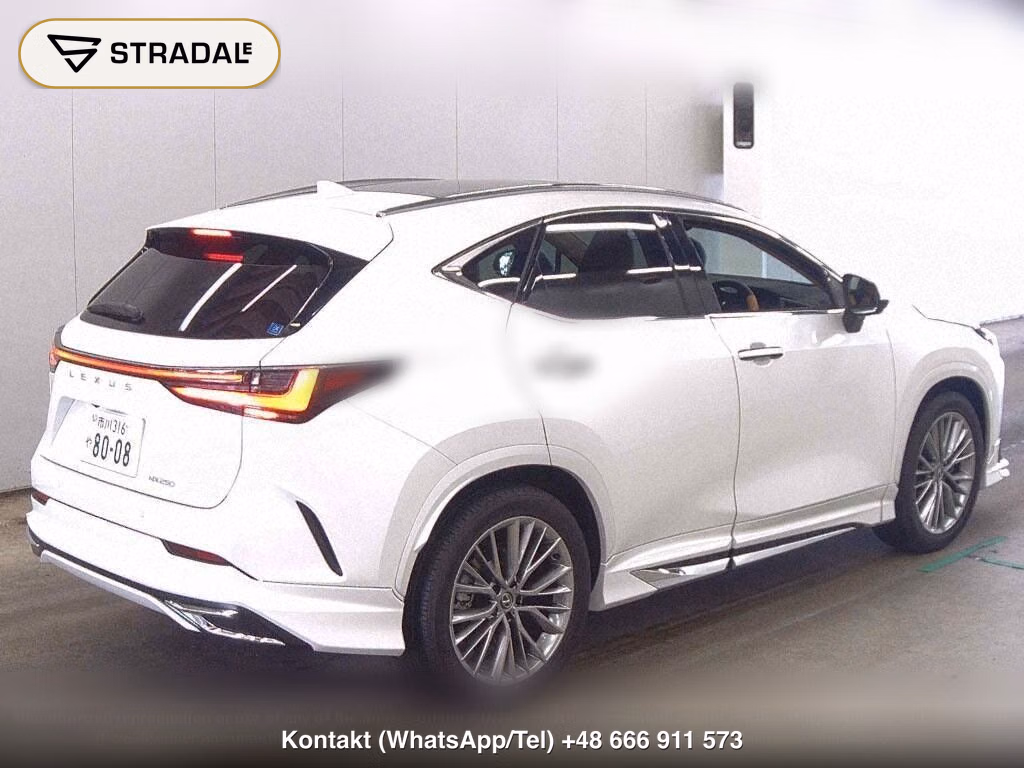 LEXUS NX NX250 VERSION L, miniaturka 6