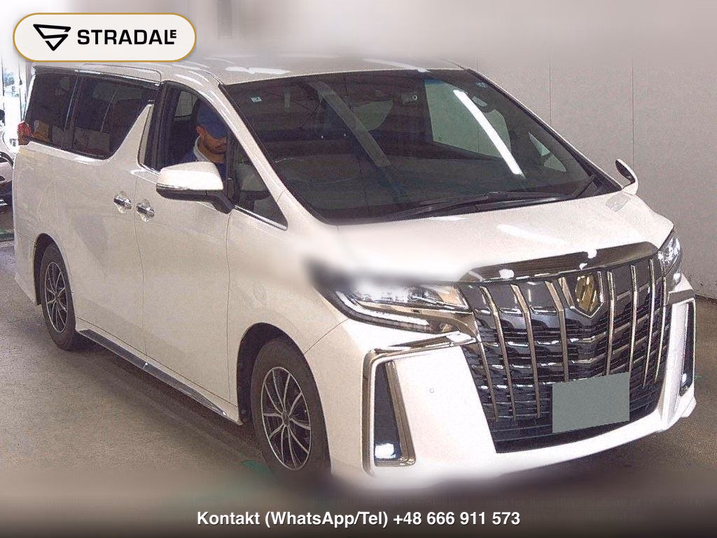 TOYOTA ALPHARD 2.5S TYPE GOLD, miniaturka 2